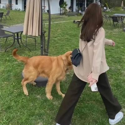 黑色命令